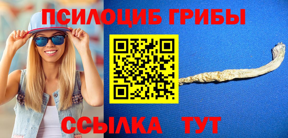 Коломна  Галлюциногенные грибы мицелий  Галлюциногенные грибы прущие грибы  Вход с VPN 